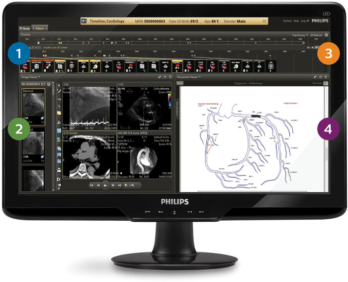 Professioneller Gesundheitsexperte arbeitet